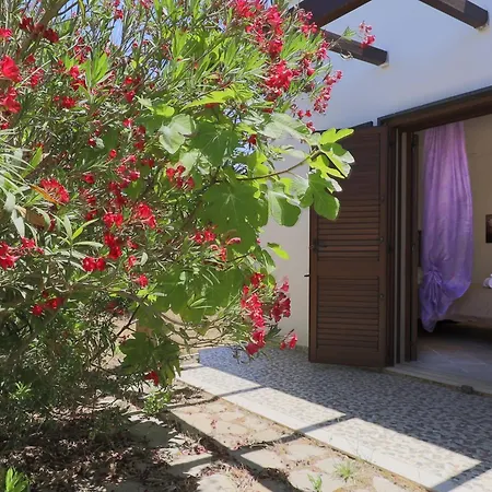 Uva Regina By Casa Di Marco Villa Gallipolli