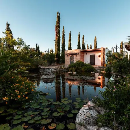 Uva Regina By Casa Di Marco Villa *
